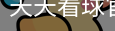 天天看球官方服务体系